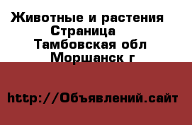  Животные и растения - Страница 3 . Тамбовская обл.,Моршанск г.